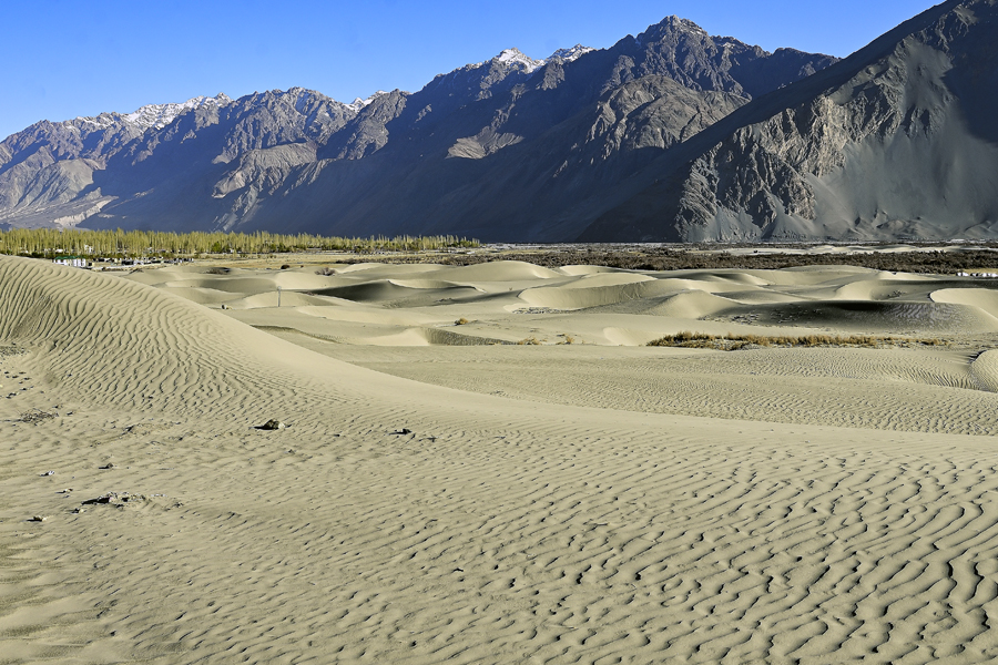 Hunder Sand Dunes Ladakh